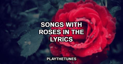 song lyrics about roses